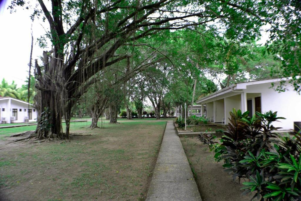 Hotel La Isla Parrita Extérieur photo