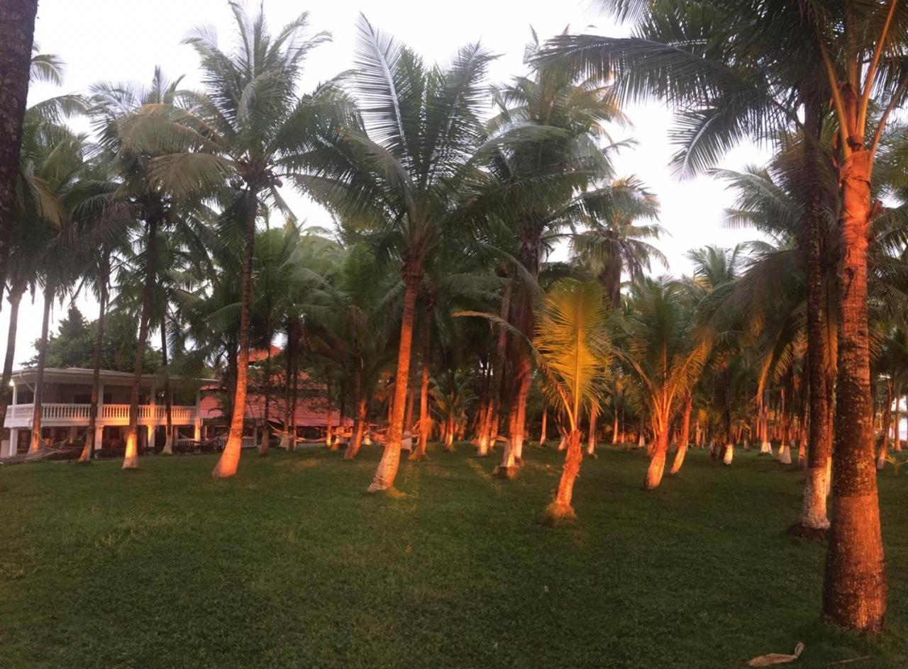 Hotel La Isla Parrita Extérieur photo